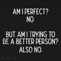 Am I Perfect No Trying Better Person Funny Sayings Women's Hoodie thumb 2