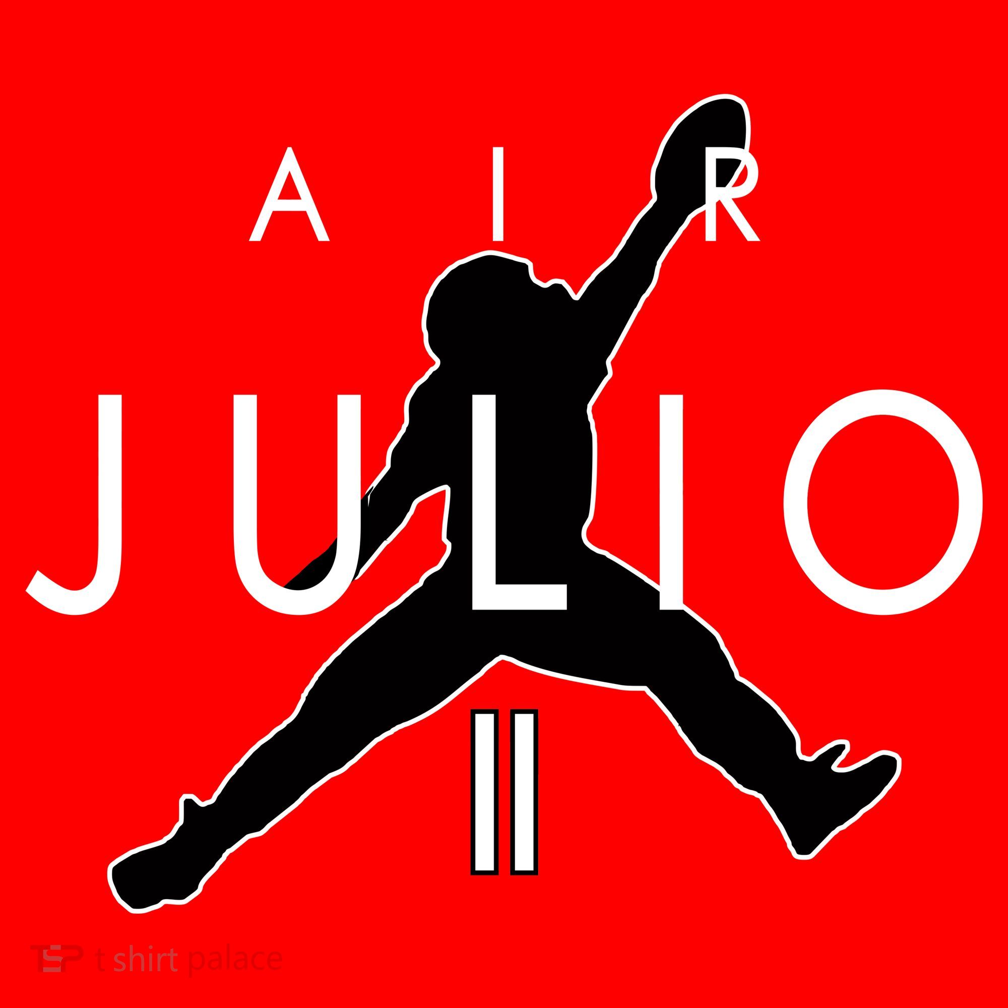 Air Julio Football Atlanta Fan Ornament