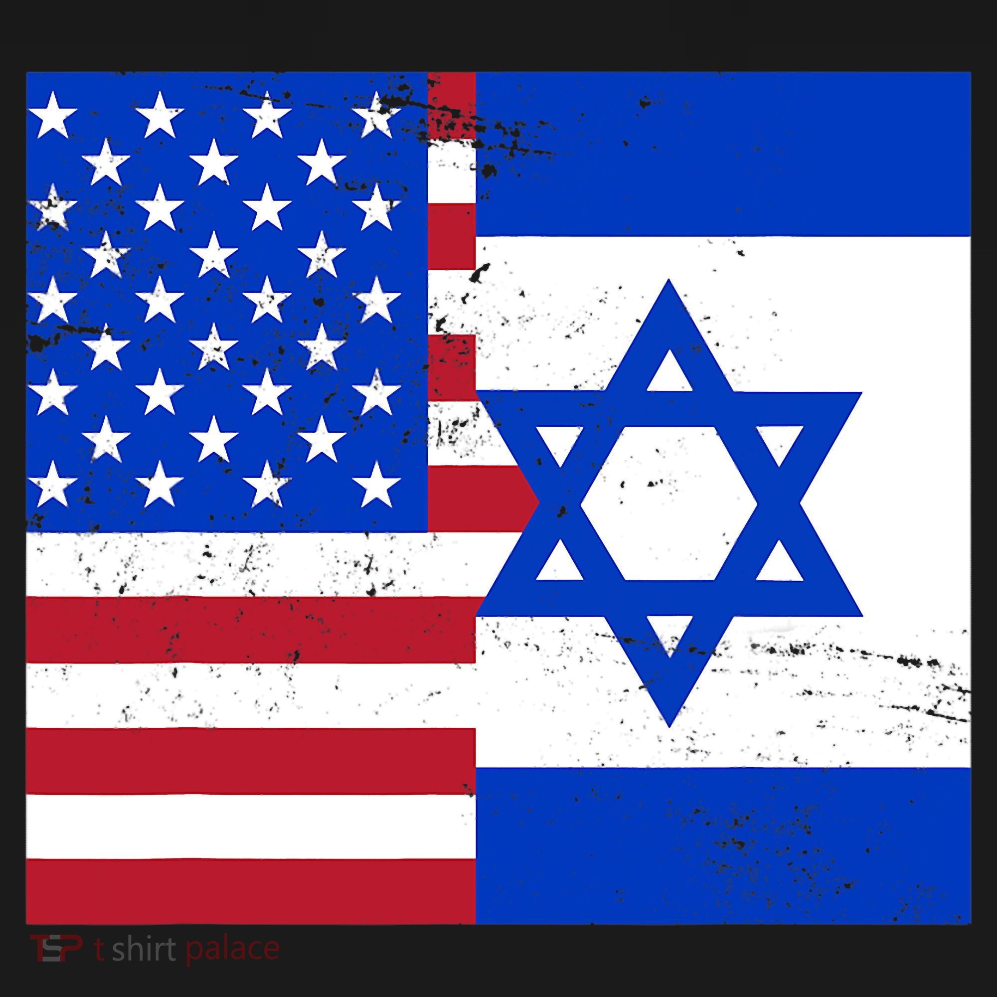 American Israeli Support Israel Coaster