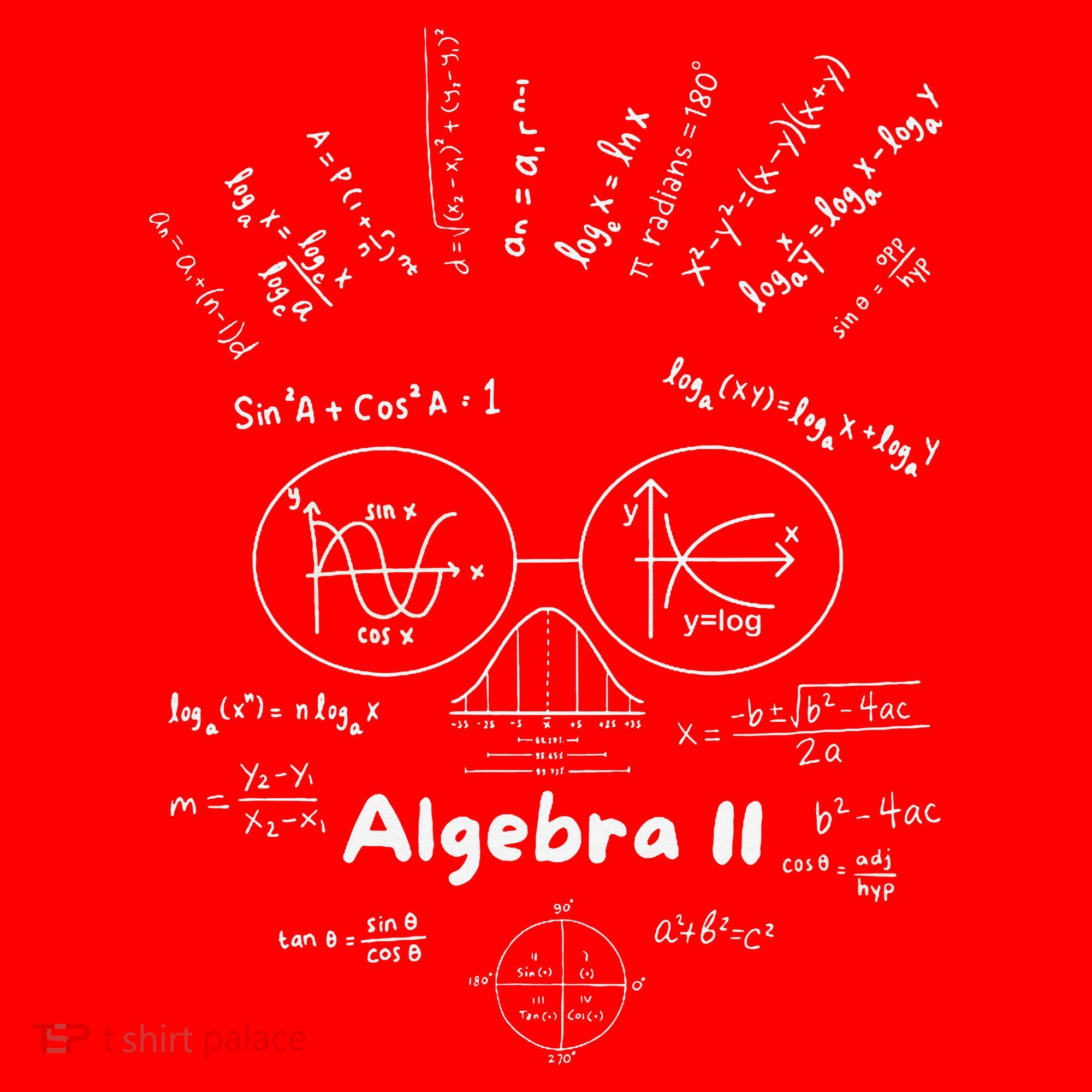 Algebra II Skull Of Equations And Formula Face Funny Nerdy Santa Hat