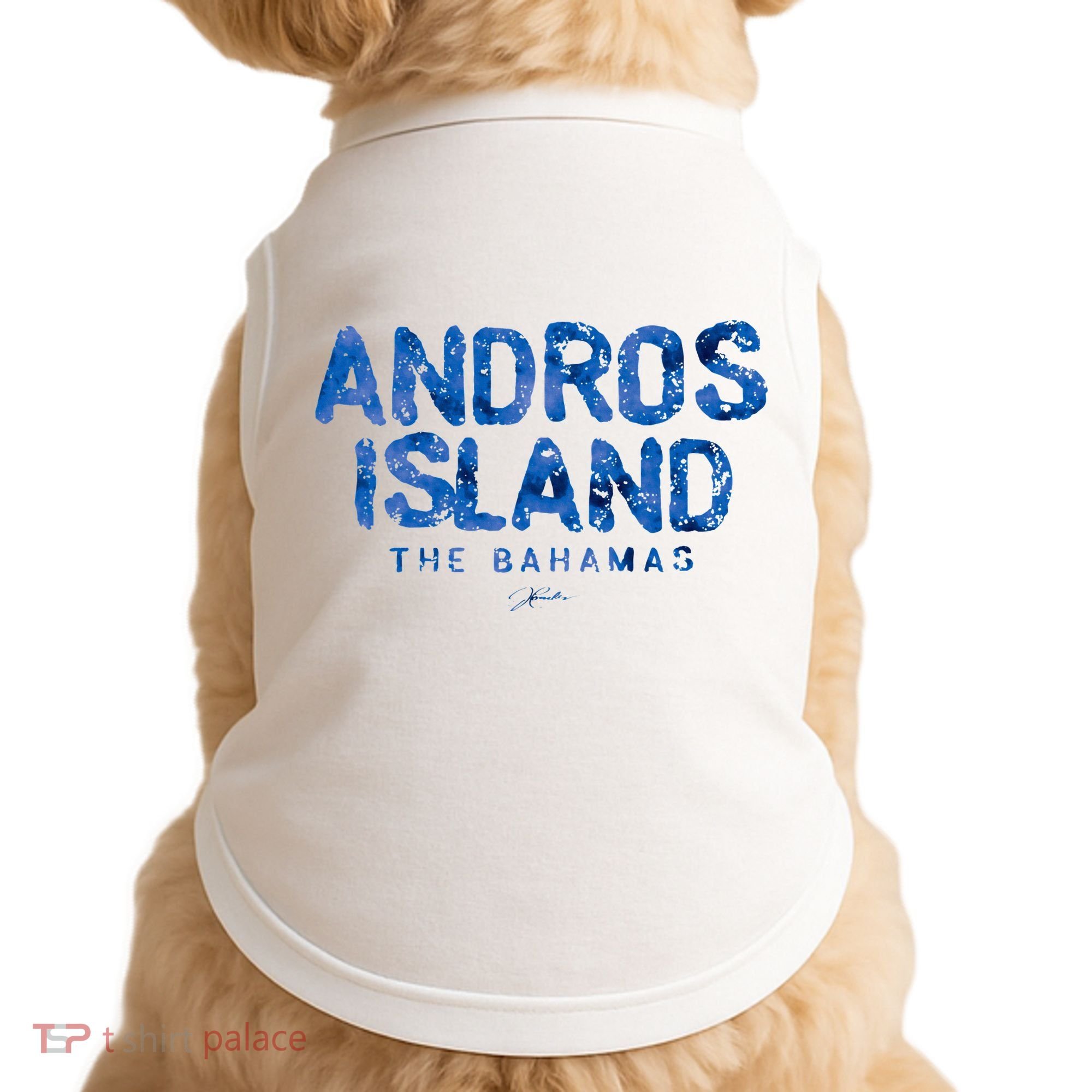Andros Island The Bahamas Doggie Tank