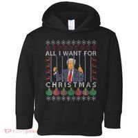 All I Want For Christmas Is Trump In Prison Toddler Hoodie thumb 0