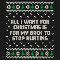 All I Want Is My Back To Stop Hurting Funny Christmas Sweatshirt Toddler Hoodie thumb 2