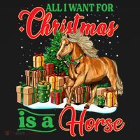 All I Want For Christmas Is A Horse Gift Women's Hoodie thumb 2
