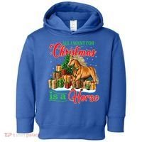 All I Want For Christmas Is A Horse Gift Toddler Hoodie thumb 0