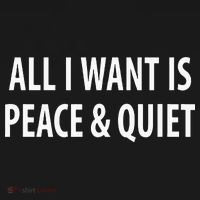 All I Want Is Peace & Quiet Kids T-Shirt thumb 4