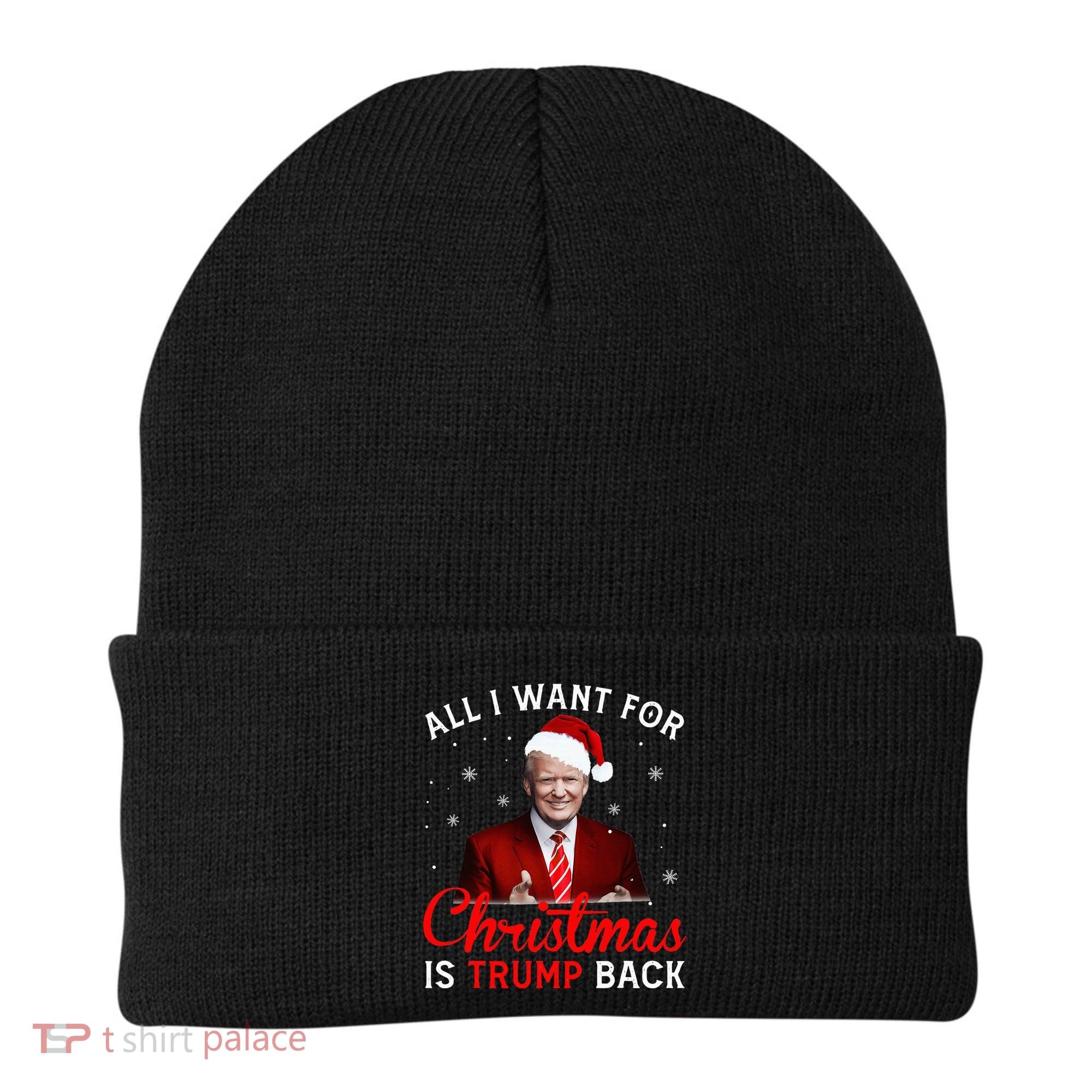 All I Want For Christmas Is Trump Back And New President  Beanie