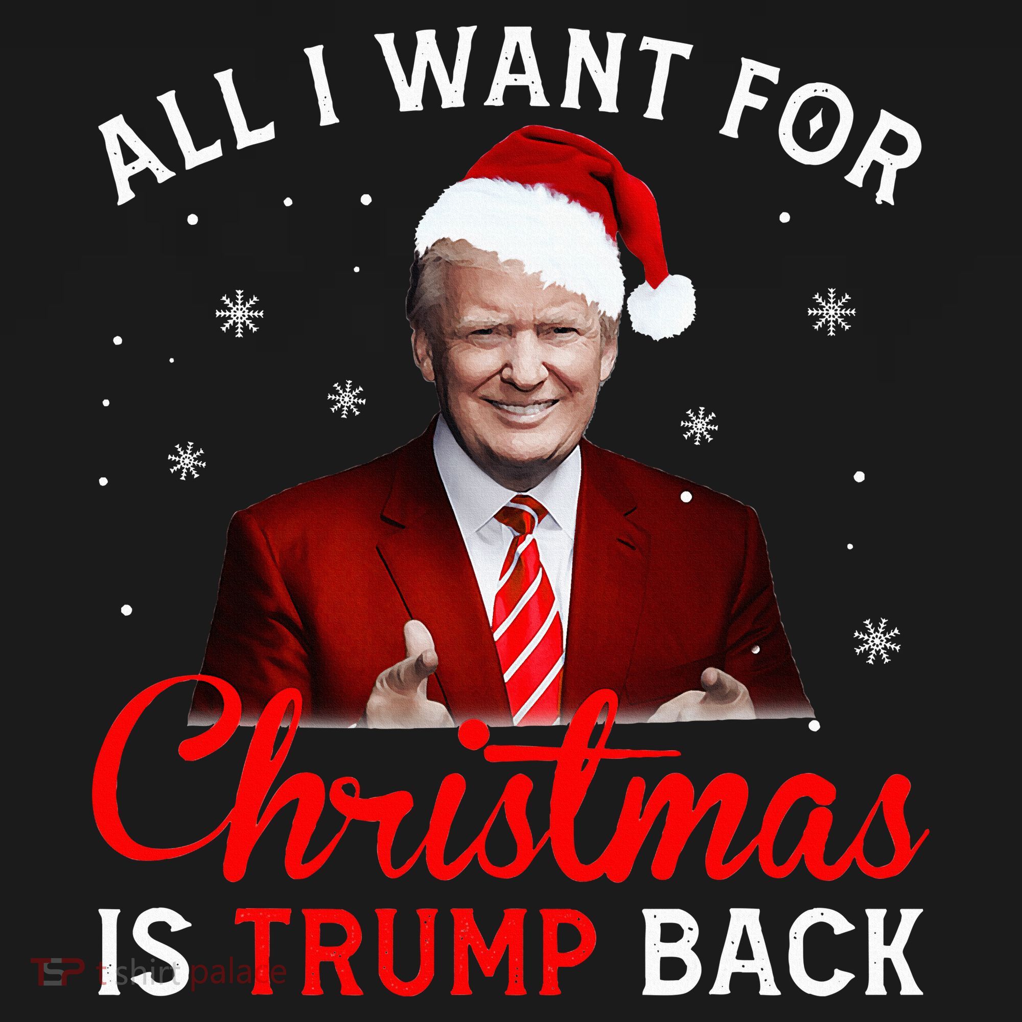All I Want For Christmas Is Trump Back And New President  Women's Hoodie