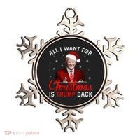 All I Want For Christmas Is Trump Back And New President  Ornament thumb 0