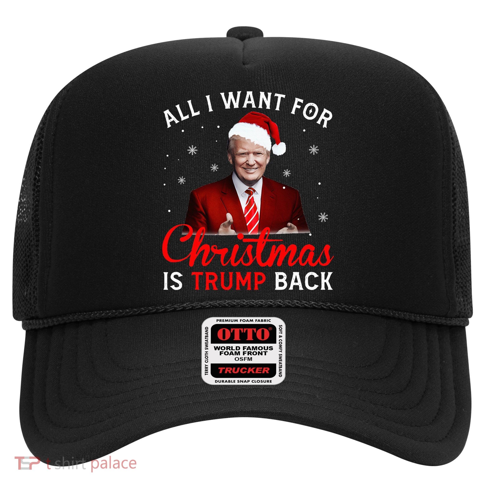 All I Want For Christmas Is Trump Back And New President  Hat