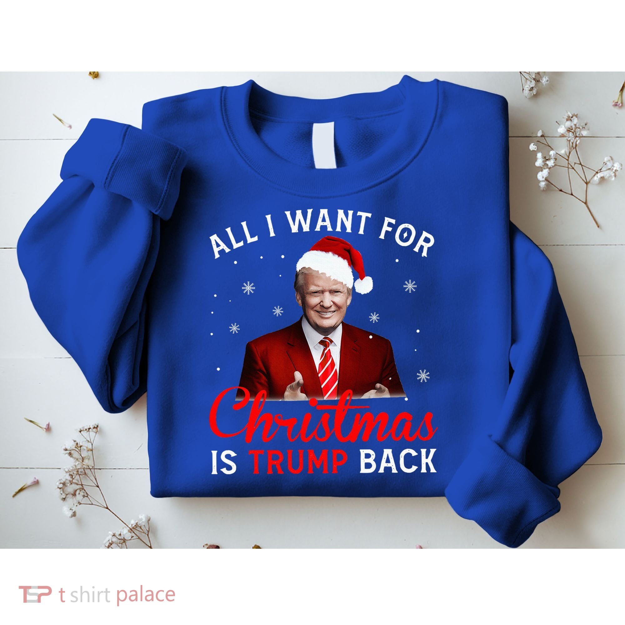 All I Want For Christmas Is Trump Back And New President  Sweatshirt