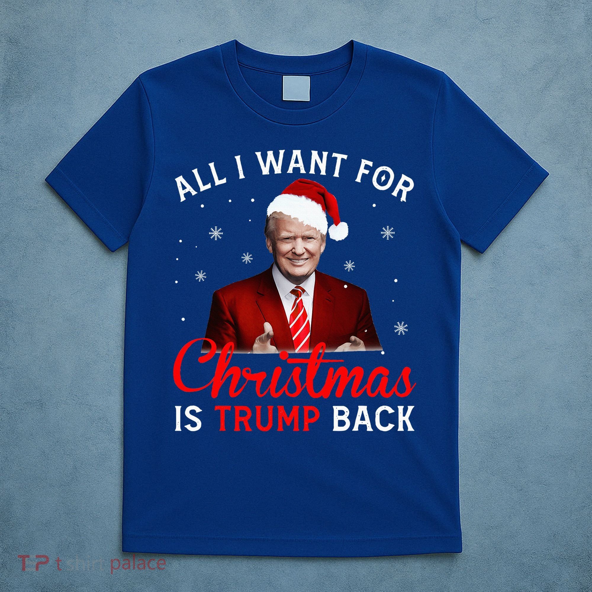All I Want For Christmas Is Trump Back And New President  T-Shirt