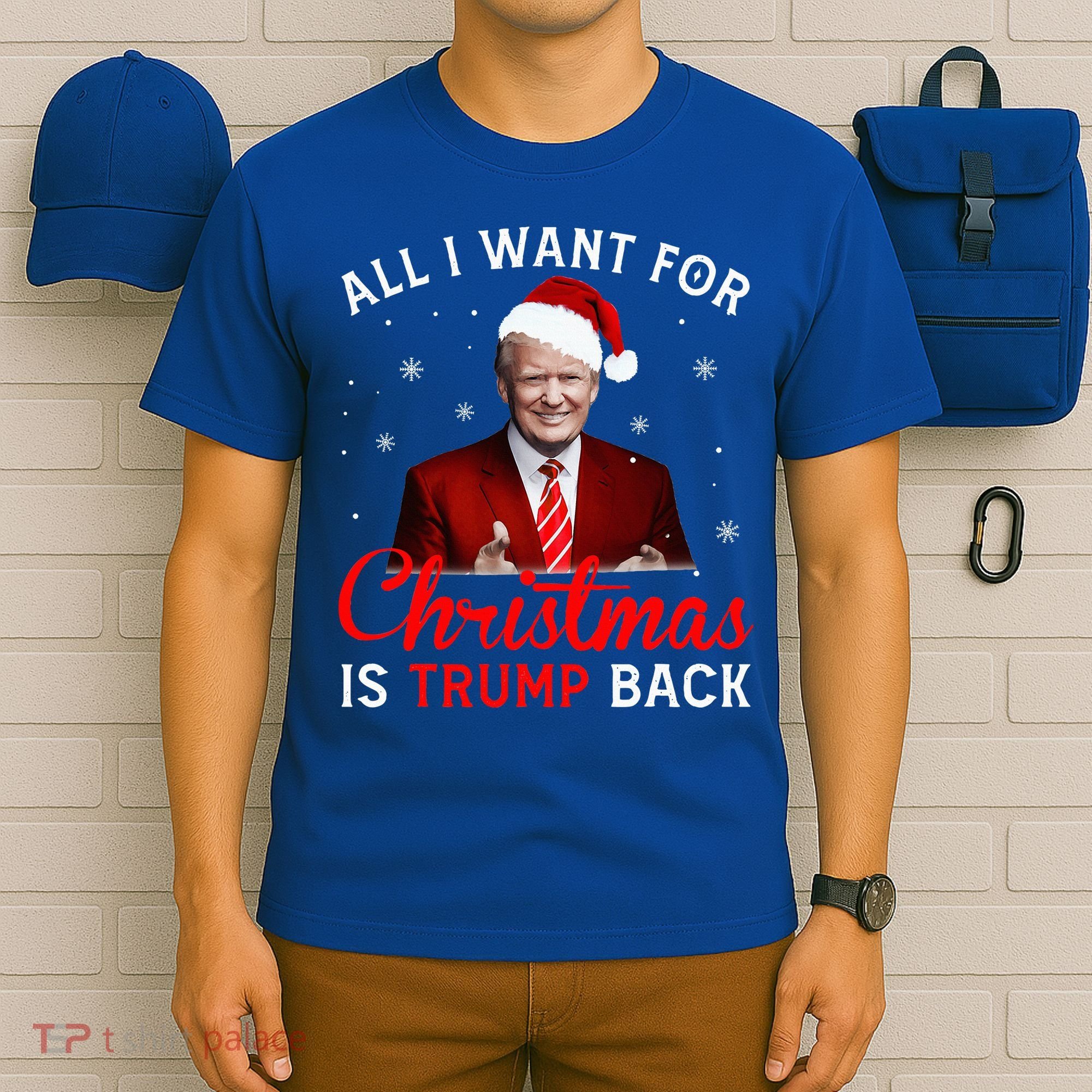 All I Want For Christmas Is Trump Back And New President  T-Shirt