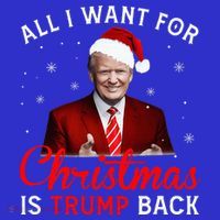 All I Want For Christmas Is Trump Back And New President  Mousepad thumb 1