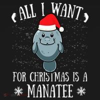 All I Want For Christmas Is A Manatee With Santa Claus Hat  Hoodie thumb 7