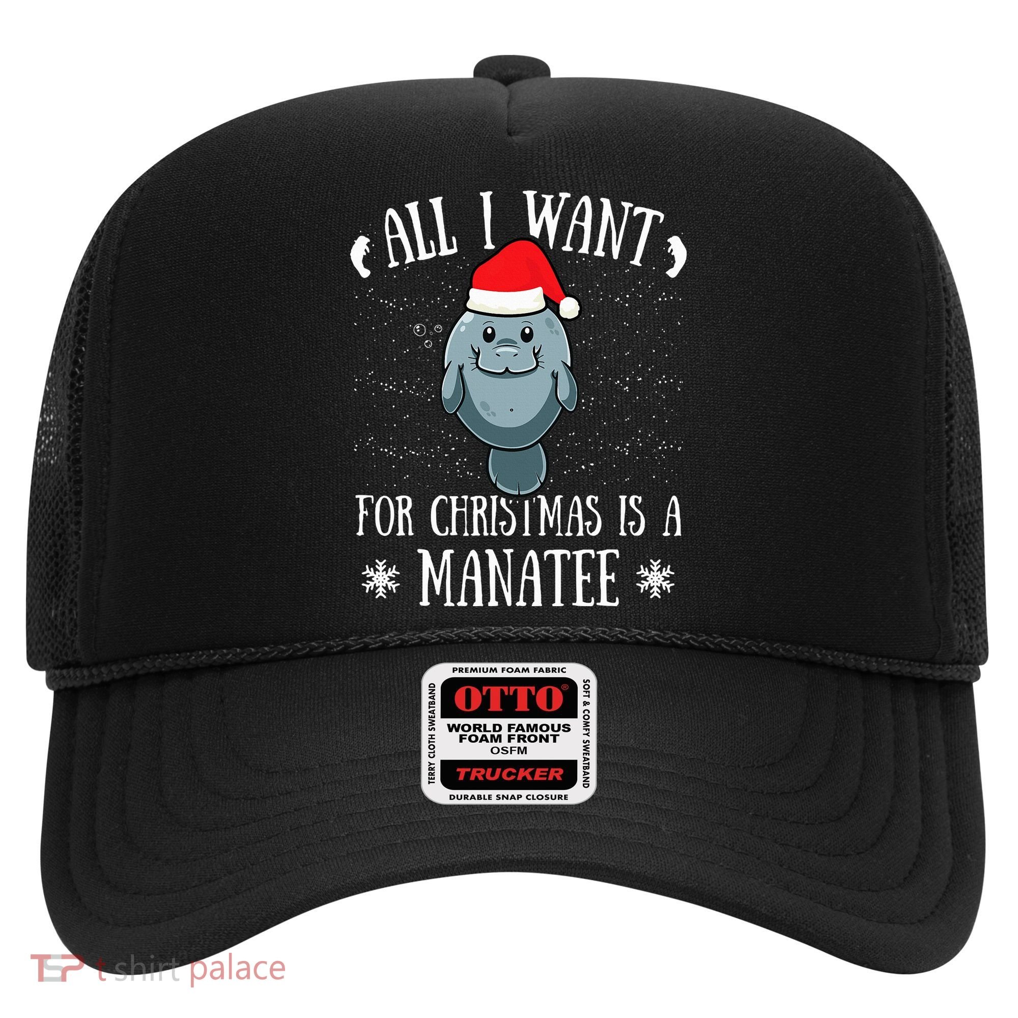All I Want For Christmas Is A Manatee With Santa Claus Hat  Hat
