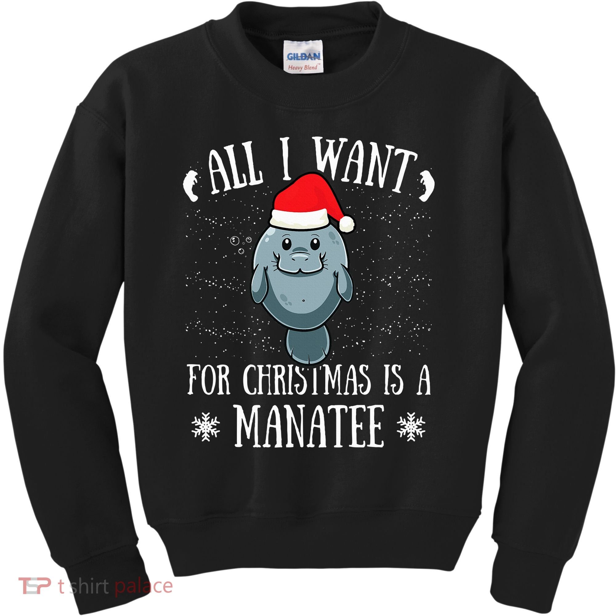 All I Want For Christmas Is A Manatee With Santa Claus Hat  Kids Sweatshirt