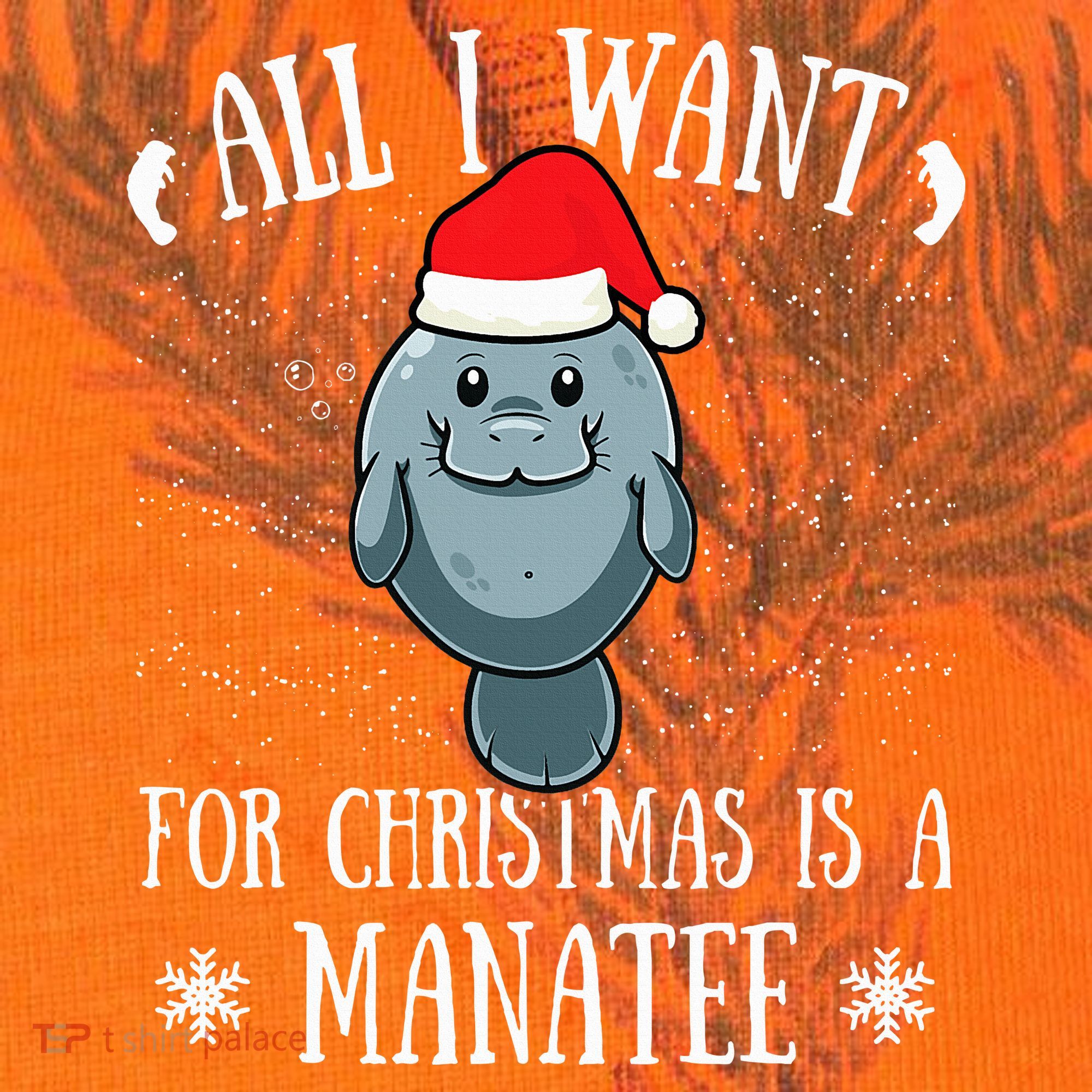 All I Want For Christmas Is A Manatee With Santa Claus Hat  Kati Licensed 12" Camo Cuffed Beanie