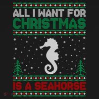 All I Want For Xmas Is A Seahorse Ugly Christmas Sweater Funny Gift Women's Hoodie thumb 2