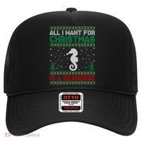 All I Want For Xmas Is A Seahorse Ugly Christmas Sweater Funny Gift Hat thumb 0