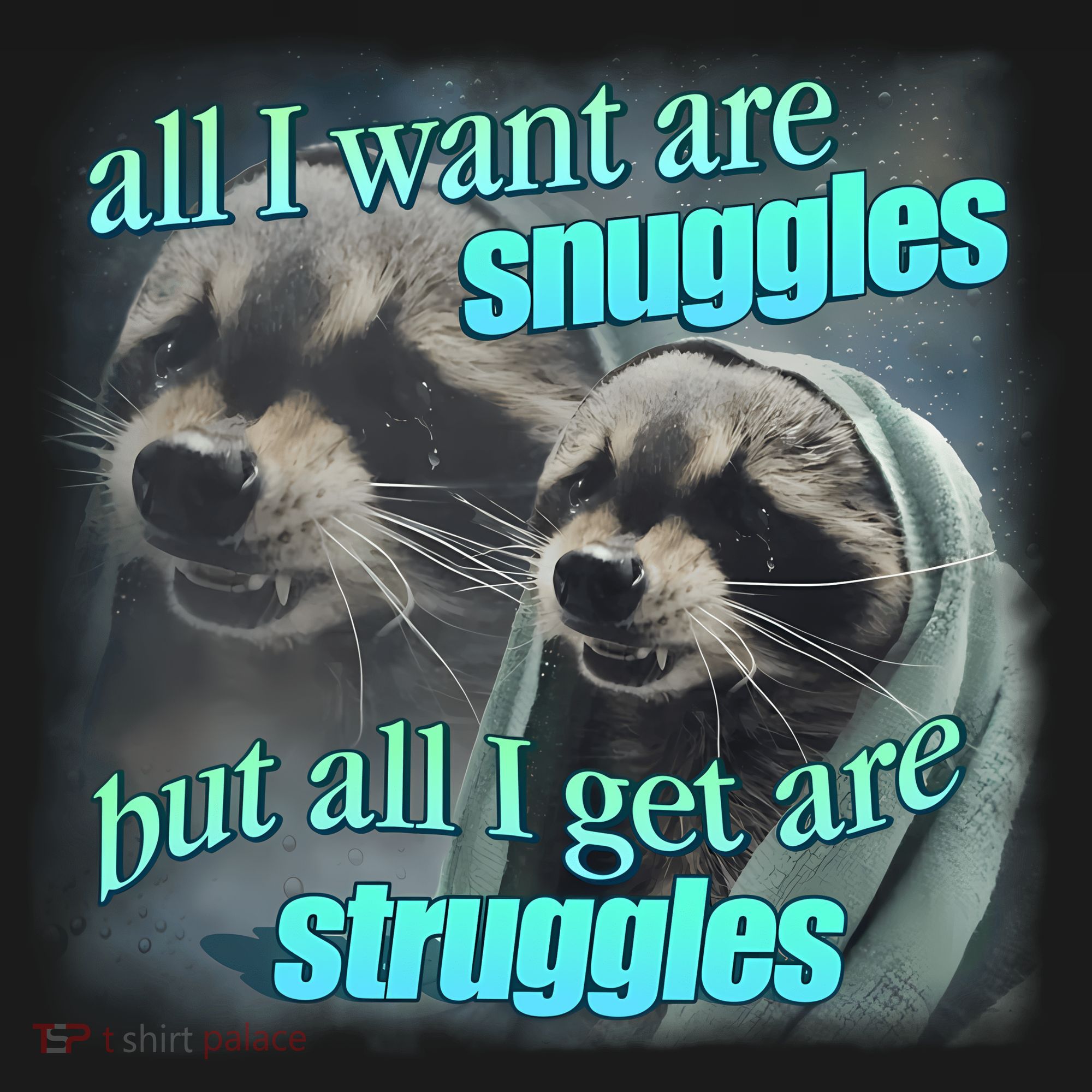 All I Want Are Snuggles But All I Get Are Struggles Raccoon Word Art Meme Women's Hoodie