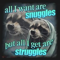 All I Want Are Snuggles But All I Get Are Struggles Raccoon Word Art Meme Women's Tank Top thumb 5