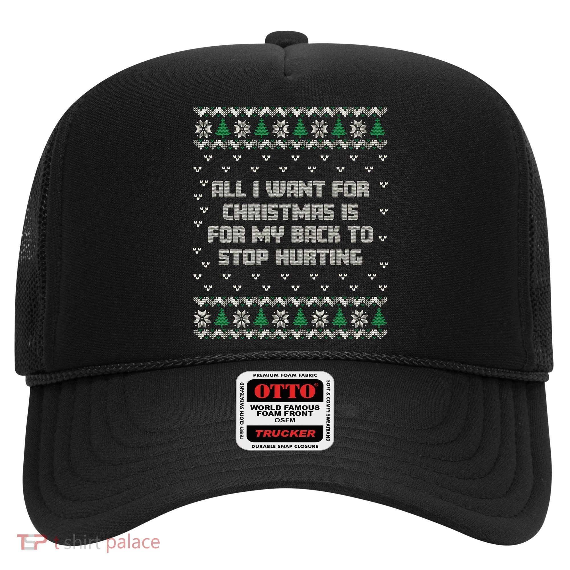 All I Want Is My Back To Stop Hurting Funny Christmas Premium Hat