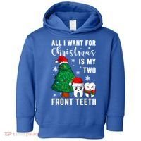 All I Want From Christmas Is My Two Front Teeth Gift Xmas Great Gift Toddler Hoodie thumb 0