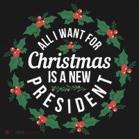 All I Want For Christmas Is A New President Gift Women's Hoodie thumb 2