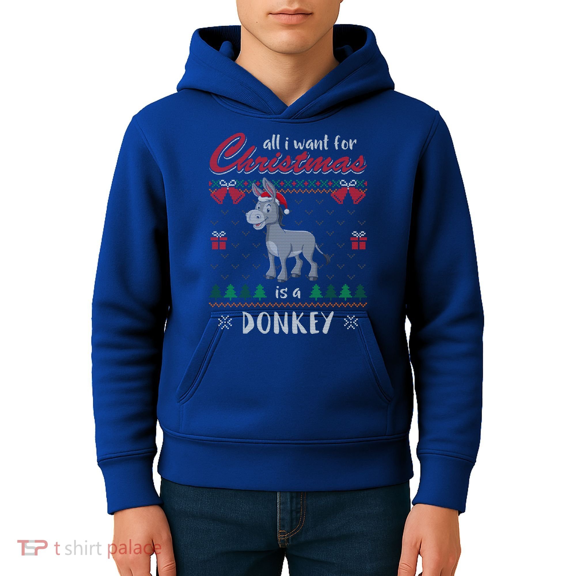 All I Want For Christmas Is A Donkey Ugly Christmas Sweater Gift Kids Hoodie