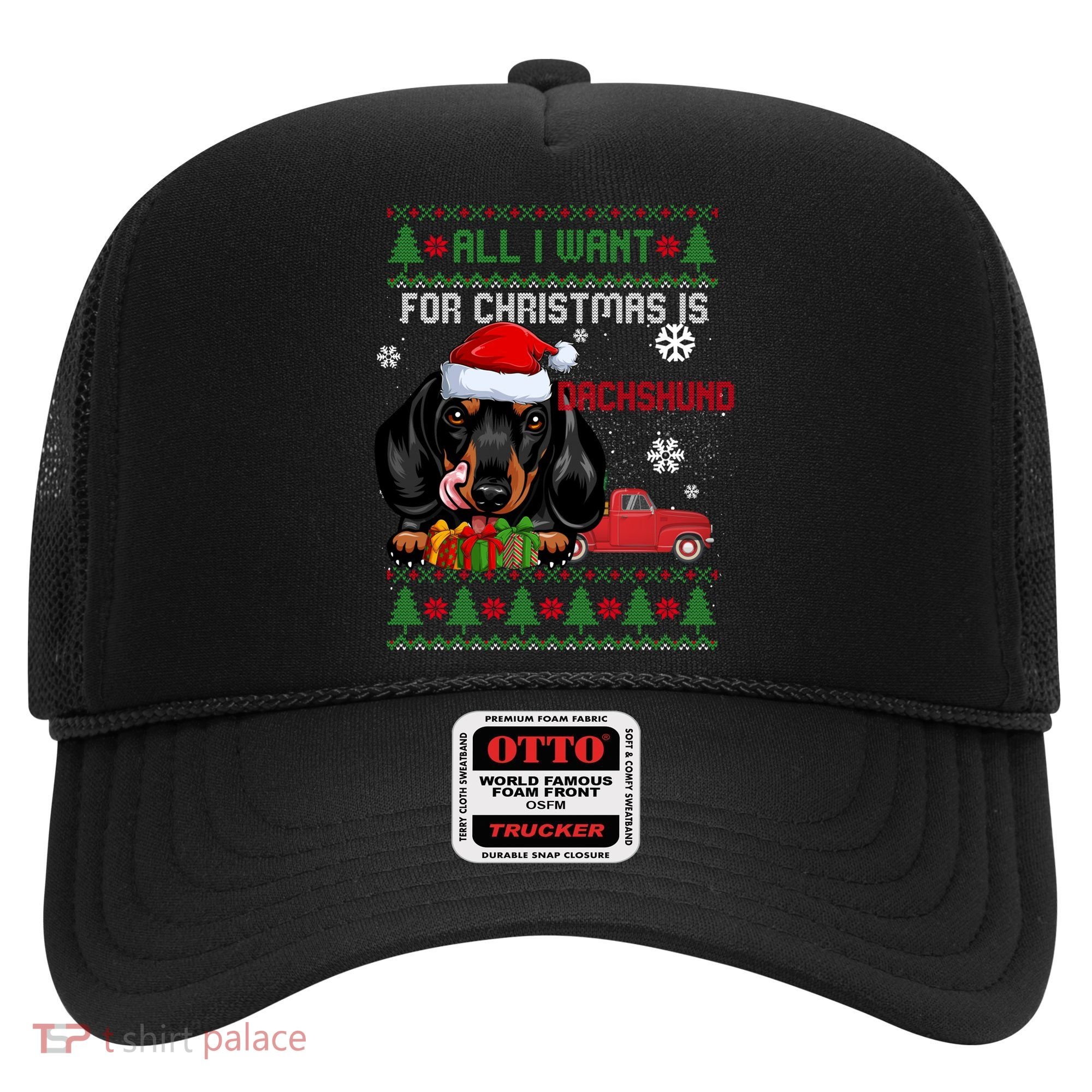 All I Want For Christmas Is Dachshund Ugly Christmas Sweater Funny Gift Hat