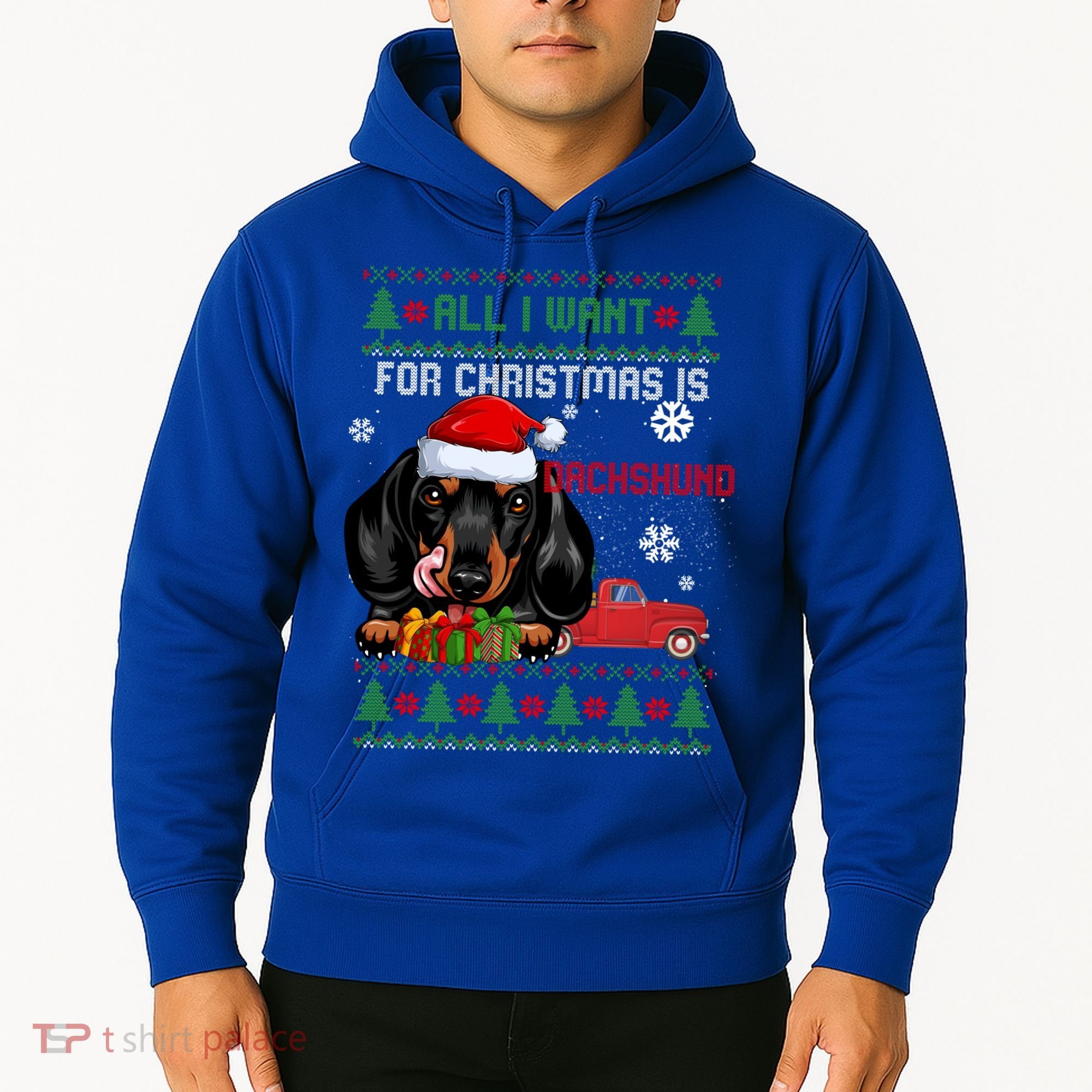 All I Want For Christmas Is Dachshund Ugly Christmas Sweater Funny Gift Hoodie