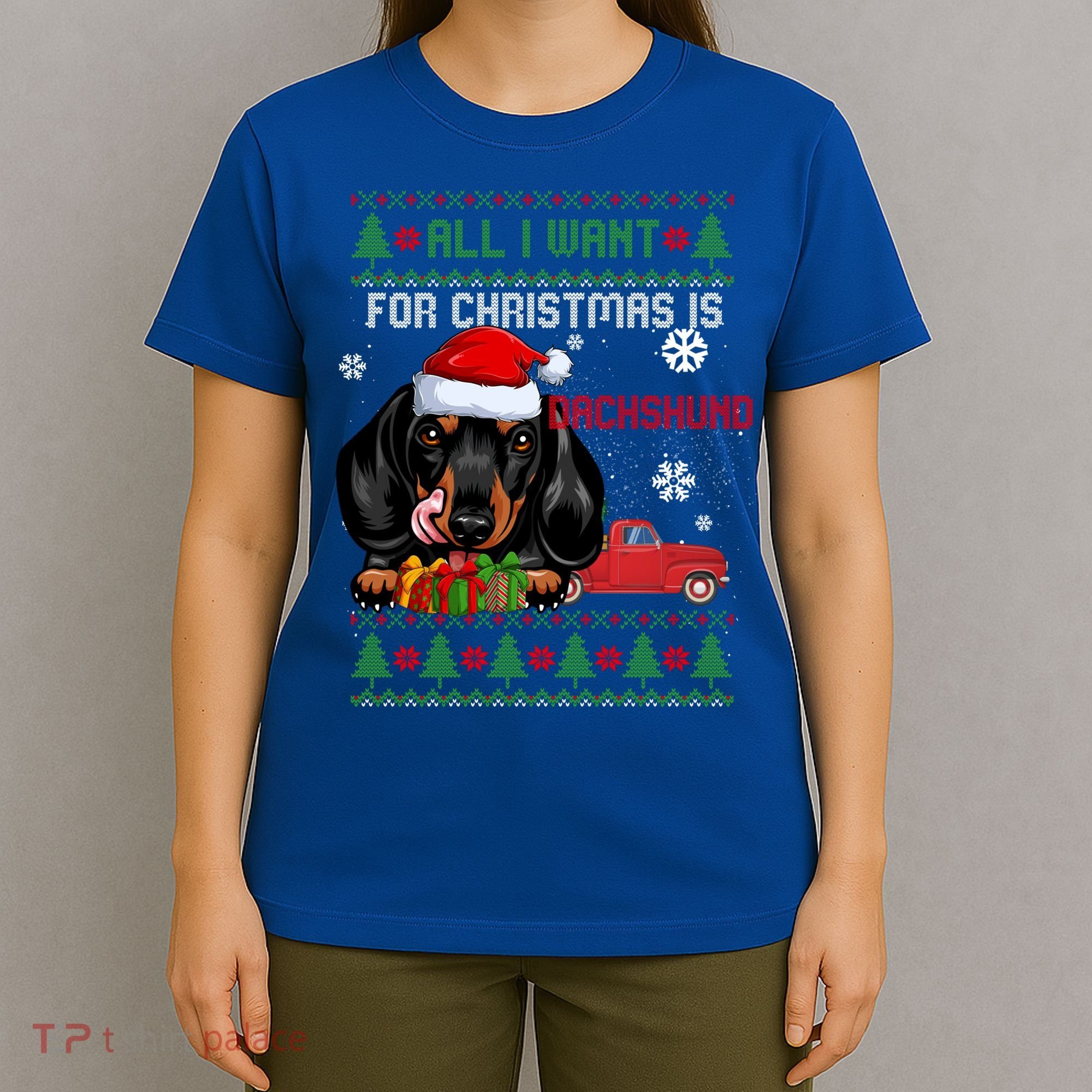 All I Want For Christmas Is Dachshund Ugly Christmas Sweater Funny Gift T-Shirt