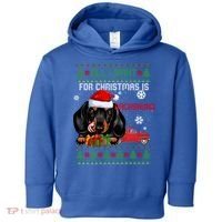 All I Want For Christmas Is Dachshund Ugly Christmas Sweater Funny Gift Toddler Hoodie thumb 0