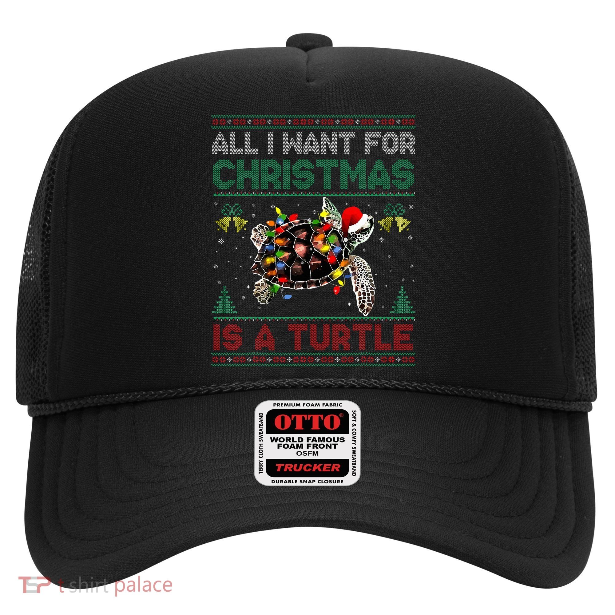 All I Want For Christmas Is A Sea Turtle Funny Ugly Sweater  Hat