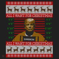 All I Want For Christmas Is Trump In Prison Ugly Christmas Gift Beanie thumb 2