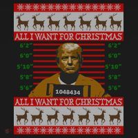 All I Want For Christmas Is Trump In Prison Ugly Christmas Gift Ornament thumb 1
