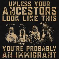 American Indian Youre Probably An Immigrant Ladies PosiCharge Tri-Blend Wicking Tank thumb 2