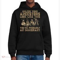 American Indian Youre Probably An Immigrant District V.I.T. Heavyweight Hoodie thumb 0