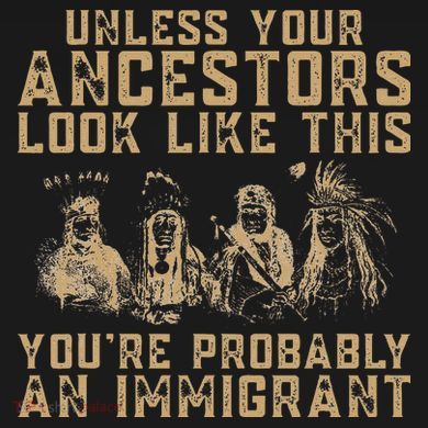 American Indian Youre Probably An Immigrant Ornament