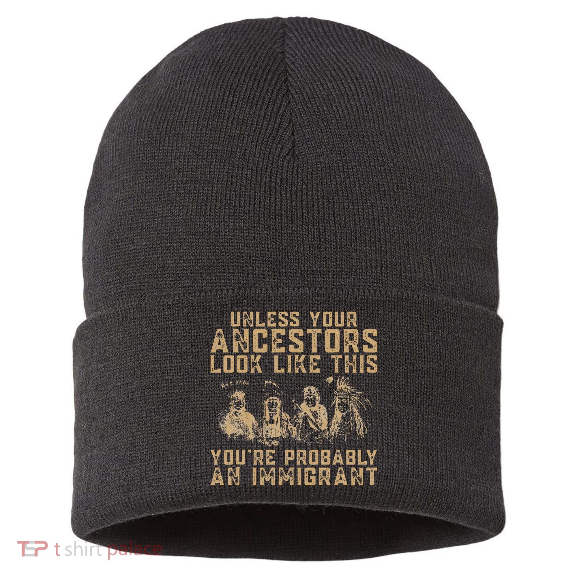 American Indian Youre Probably An Immigrant Sustainable Knit Beanie