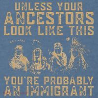 American Indian Youre Probably An Immigrant Comfort Colors Garment-Dyed Hooded Sweatshirt thumb 2