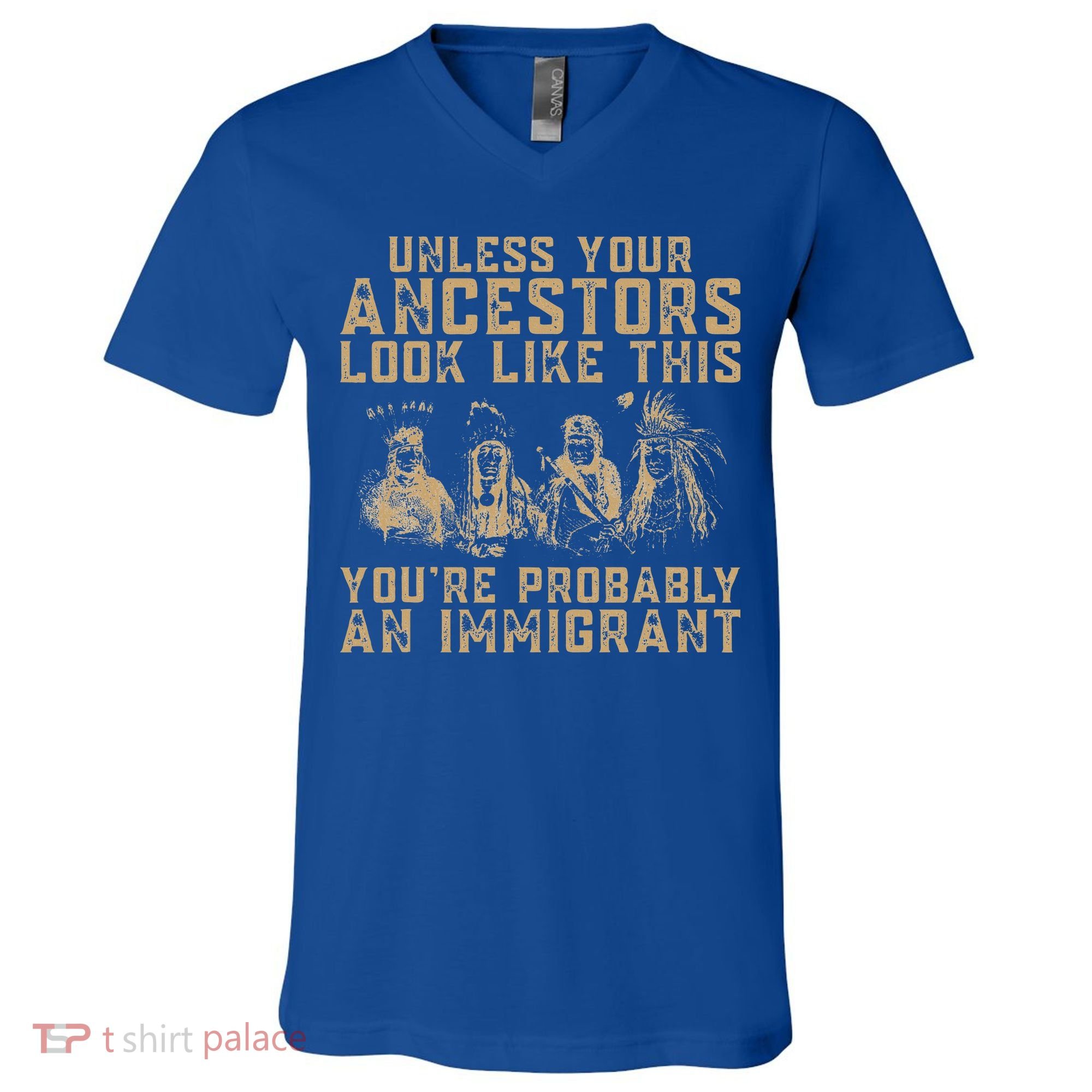 American Indian Youre Probably An Immigrant V-Neck T-Shirt