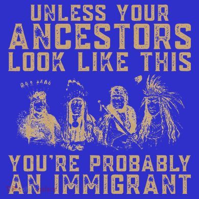 American Indian Youre Probably An Immigrant Button
