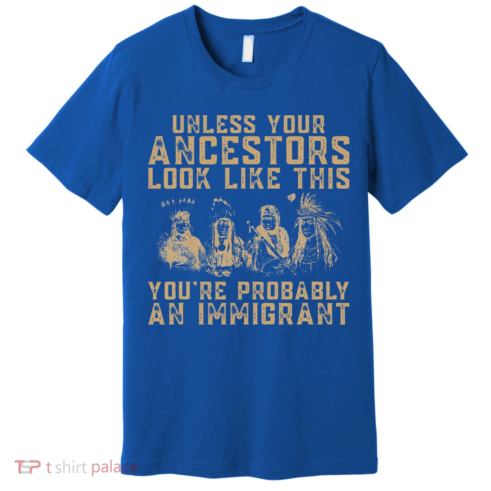 American Indian Youre Probably An Immigrant Premium T-Shirt