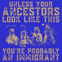 American Indian Youre Probably An Immigrant Kids Long Sleeve Plaid Pajama Set thumb 2