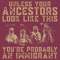 American Indian Youre Probably An Immigrant 16oz Travel Tumbler thumb 2
