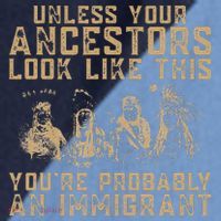 American Indian Youre Probably An Immigrant Raglan Baseball Sleeve Shirt thumb 2