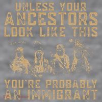 American Indian Youre Probably An Immigrant Women's Racerback Cropped Tank thumb 2