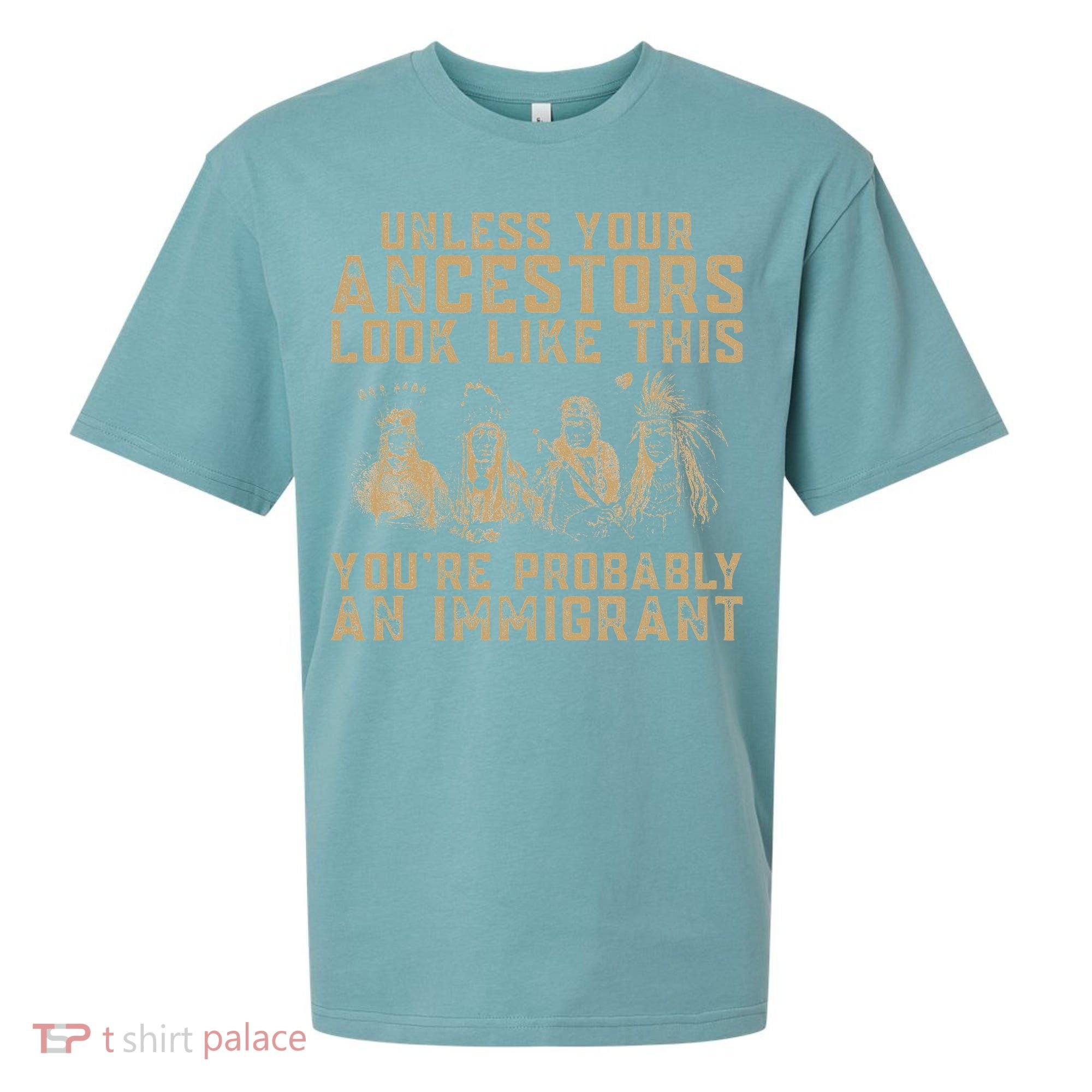 American Indian Youre Probably An Immigrant Sueded Cloud Jersey T-Shirt